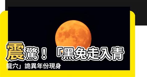 黑兔走進青龍穴|2024青龍年運勢好嗎、黑兔走入青龍穴是什麼意思？6…